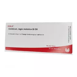 Церебрум регио моторика GL D5 амп. 1мл №10 фото